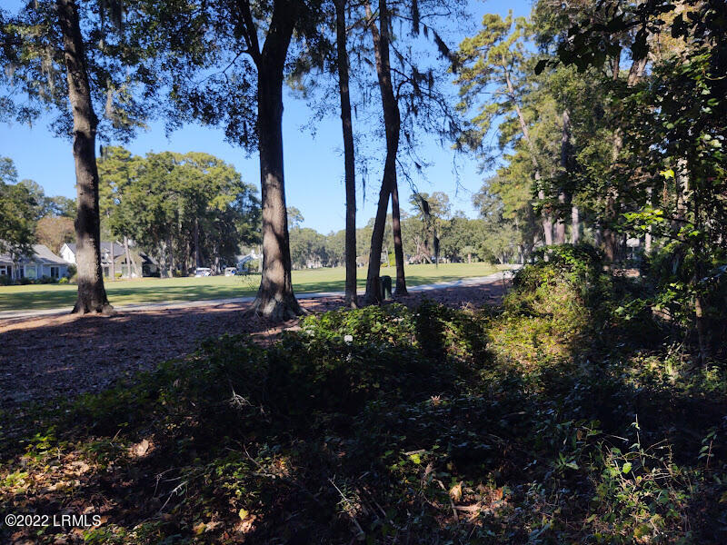 126 Locust Fence Road St. Helena Island, SC 29920 - Photo 8 of 12 Looking at MR 9