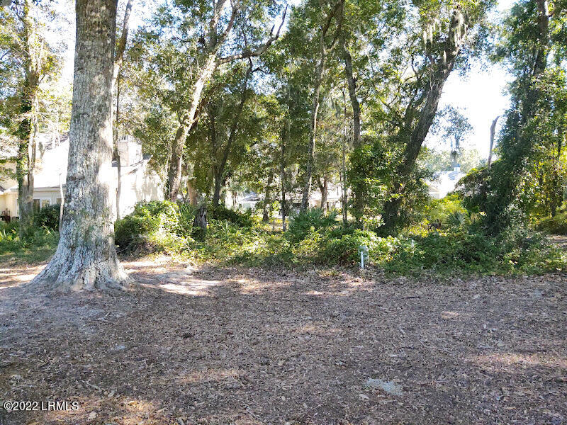 126 Locust Fence Road St. Helena Island, SC 29920 - Photo 10 of 12 view from course