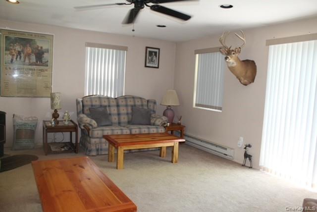 553 Friedenstein Road Roscoe, NY 12776 - Photo 19 of 25
