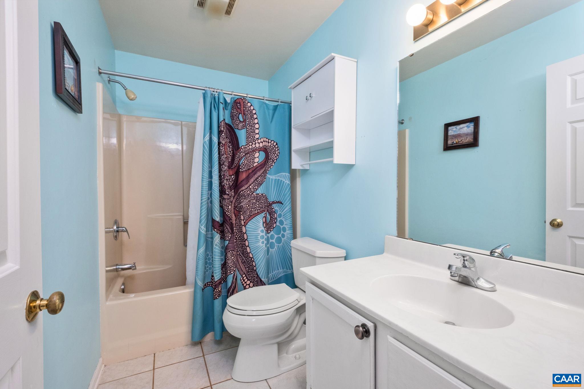 1143 Raintree Drive Charlottesville, VA 22901 - Photo 22 of 49 a bathroom with a sink toilet and shower