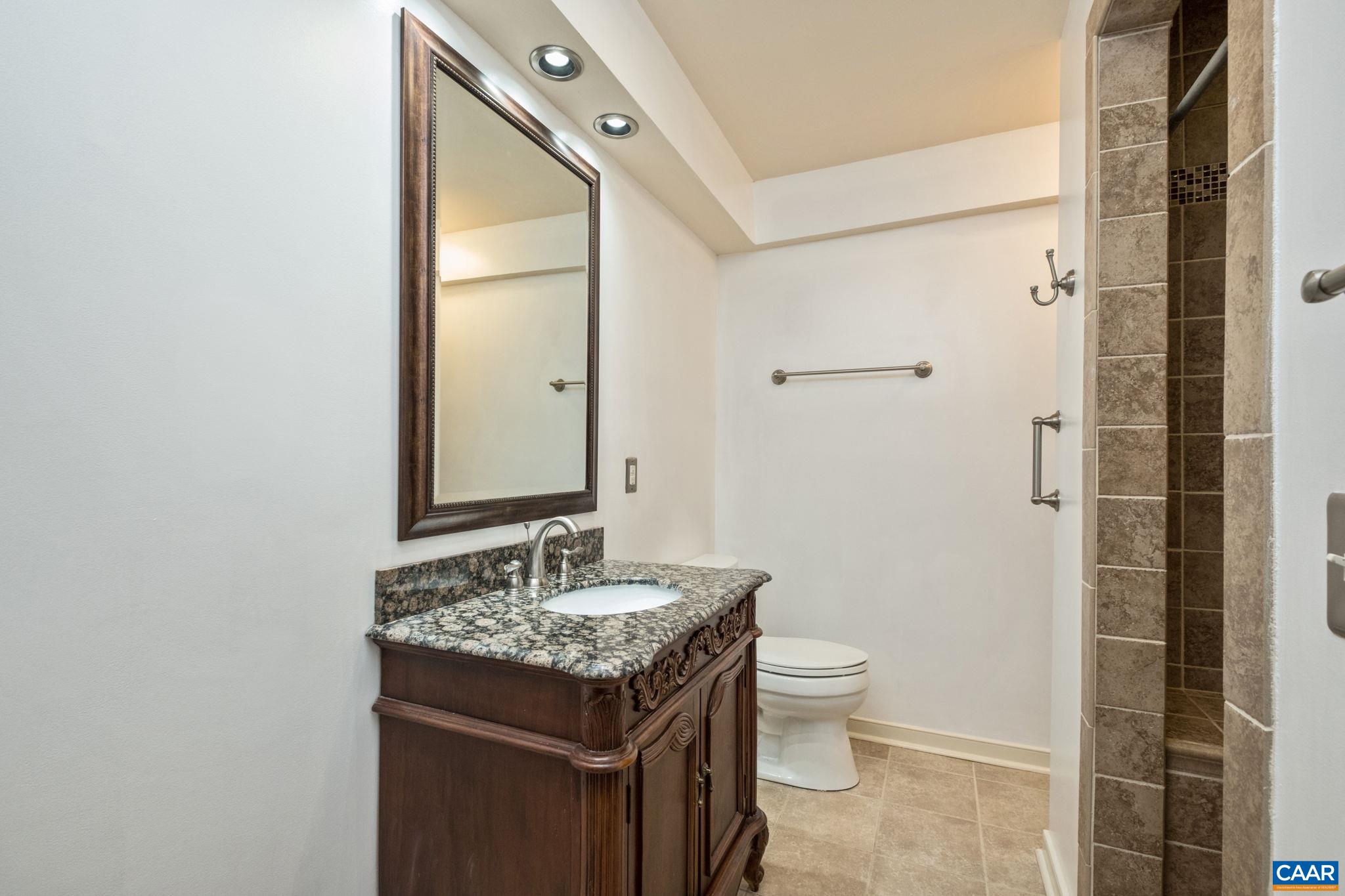 1143 Raintree Drive Charlottesville, VA 22901 - Photo 29 of 49 a bathroom with a granite countertop sink toilet and shower