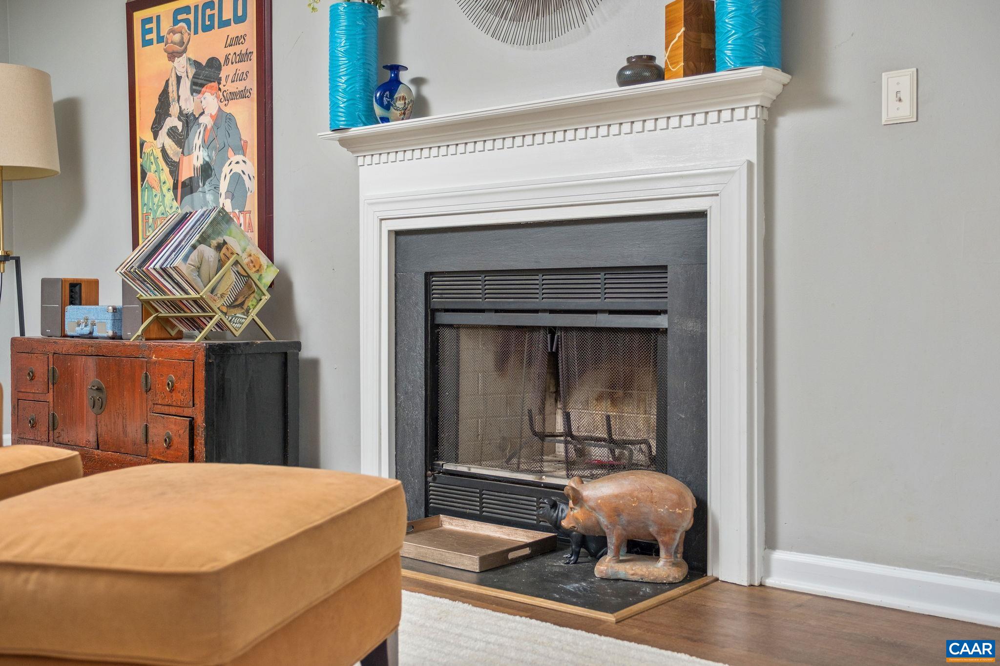 1143 Raintree Drive Charlottesville, VA 22901 - Photo 4 of 49 a living room with a fireplace and painted walls