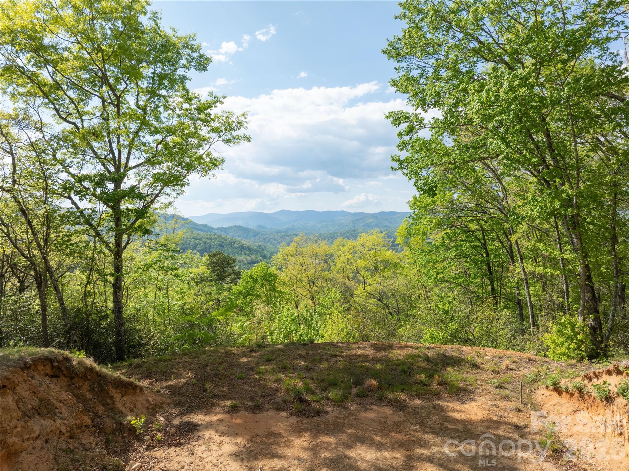 Lot 1 Breedlove Road Bryson City, NC 28713 - Photo 1 of 12 a view of a yard with plants and large trees