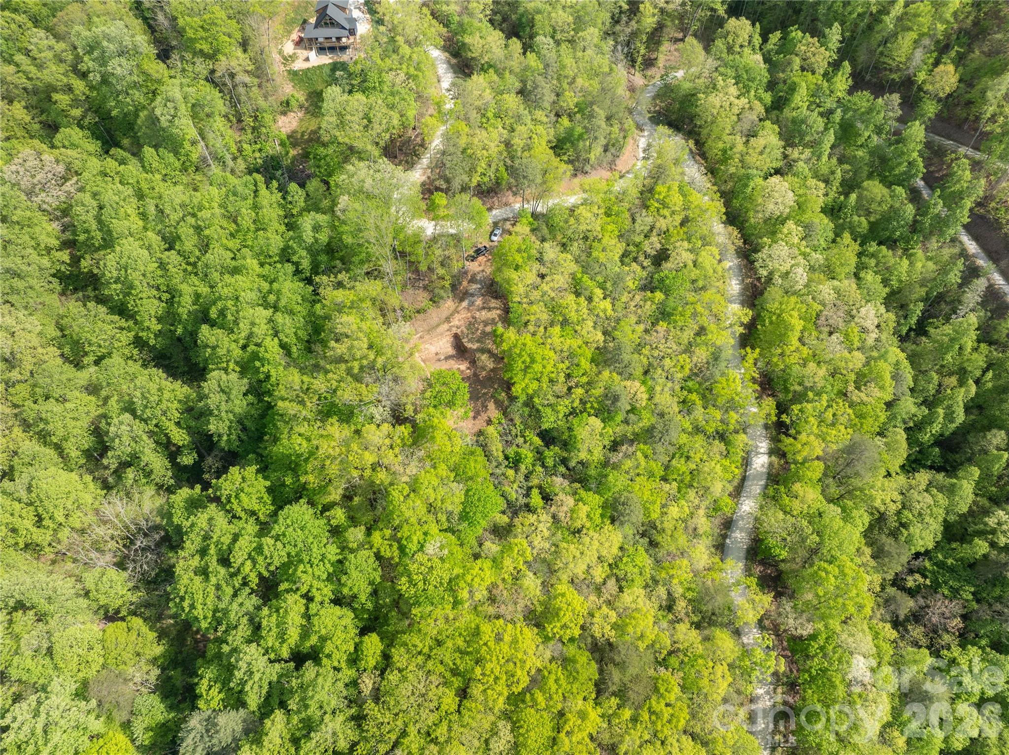 Lot 1 Breedlove Road Bryson City, NC 28713 - Photo 11 of 12 a view of a big yard with plants and large trees