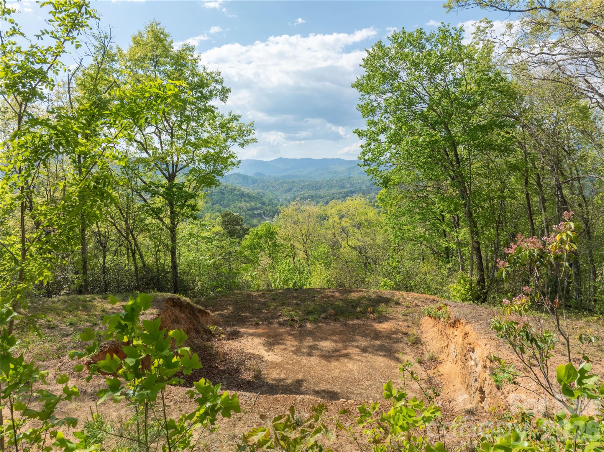 Lot 1 Breedlove Road Bryson City, NC 28713 - Photo 2 of 12 a view of a yard with plants and large trees