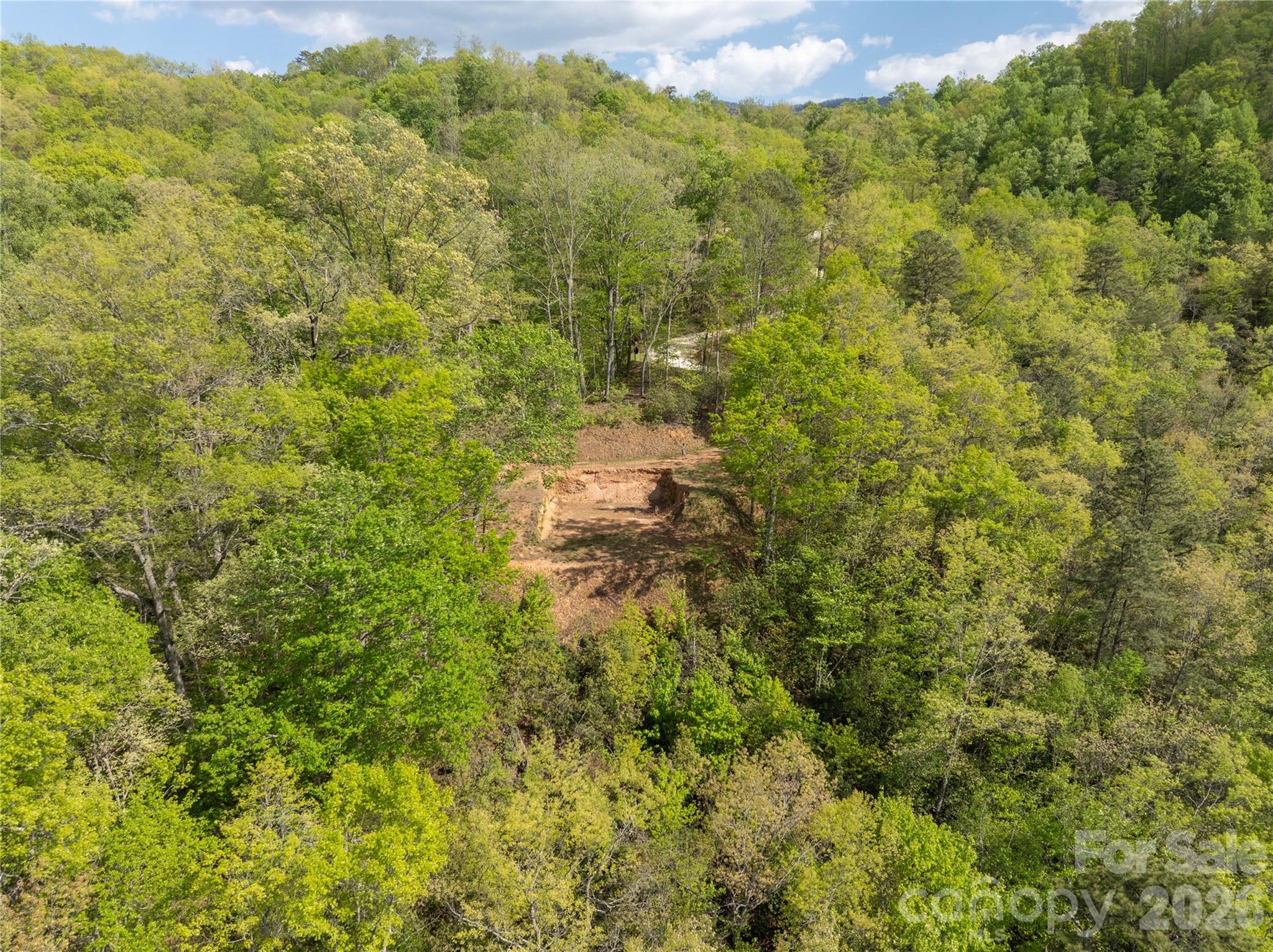 Lot 1 Breedlove Road Bryson City, NC 28713 - Photo 3 of 12 a view of a bunch of trees and bushes