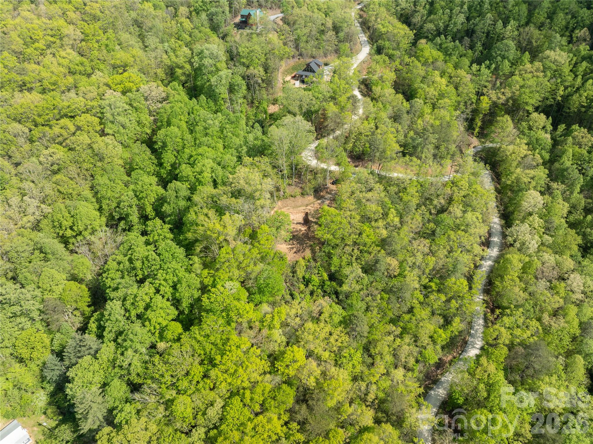 Lot 1 Breedlove Road Bryson City, NC 28713 - Photo 4 of 12 a view of a big yard with plants and wooden floor