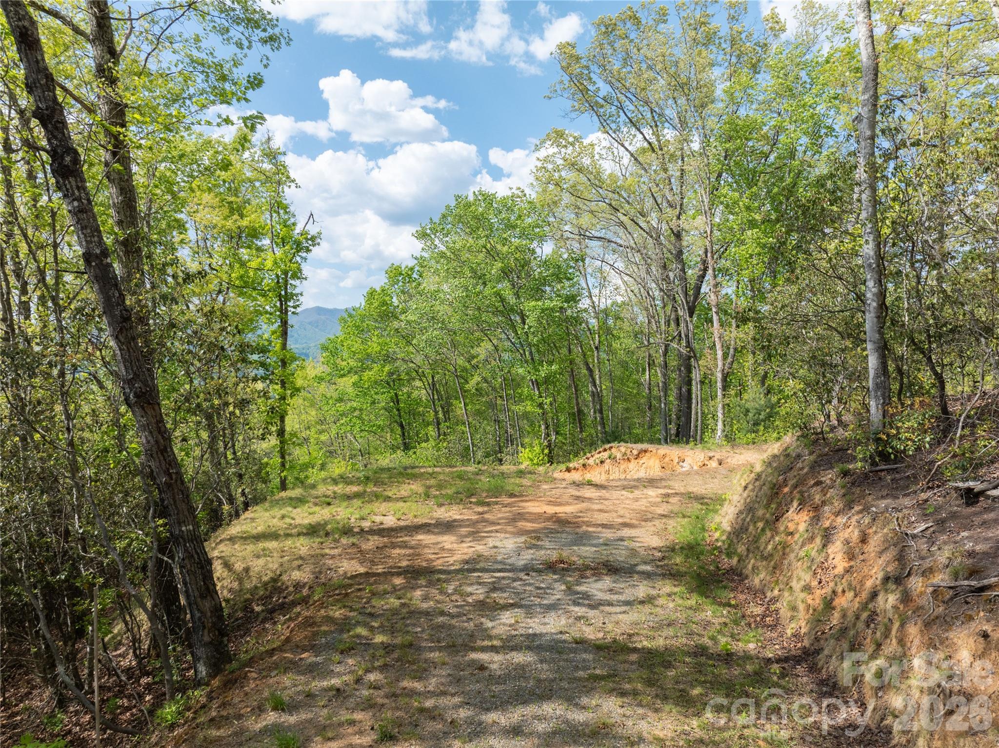 Lot 1 Breedlove Road Bryson City, NC 28713 - Photo 8 of 12 a view of a yard with large trees