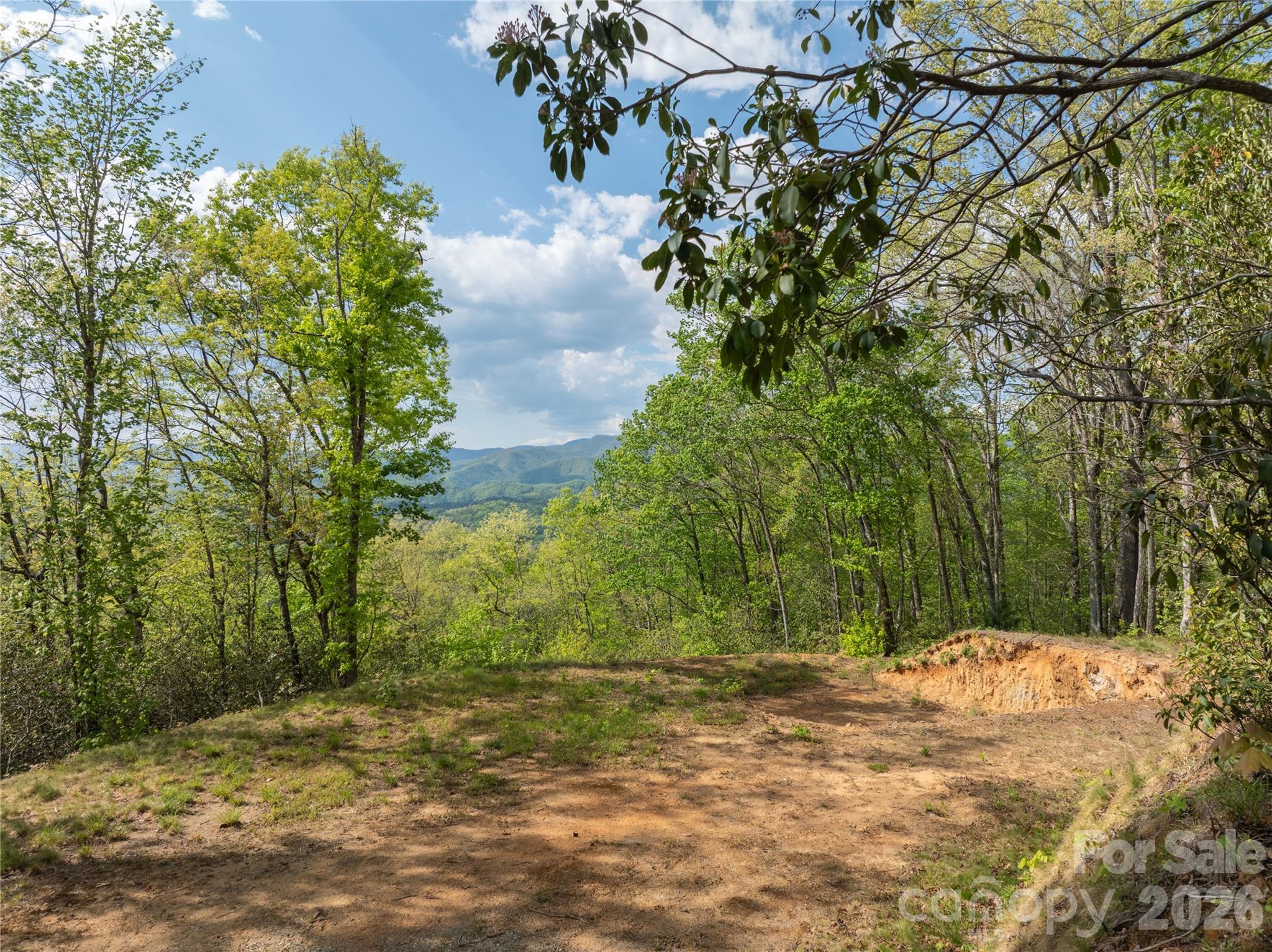 Lot 1 Breedlove Road Bryson City, NC 28713 - Photo 9 of 12 a view of a yard with plants and trees