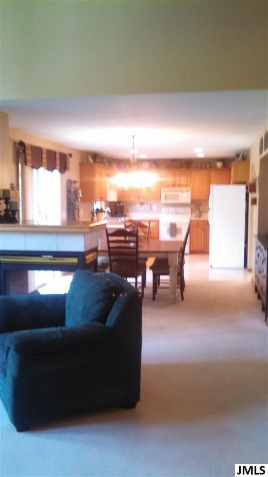 6732 Carter Road Spring Arbor, MI 49283 - Photo 12 of 36 Photo 12