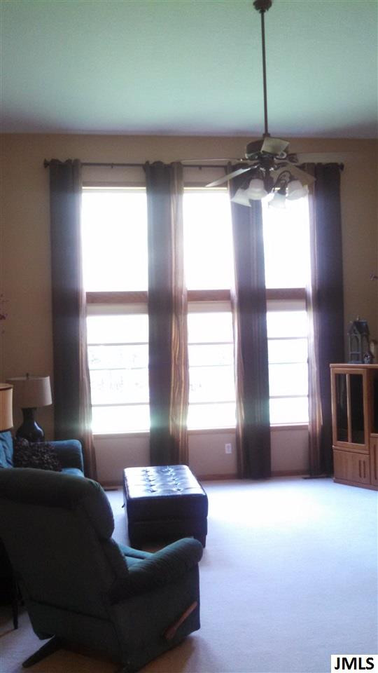 6732 Carter Road Spring Arbor, MI 49283 - Photo 9 of 36 Photo 9