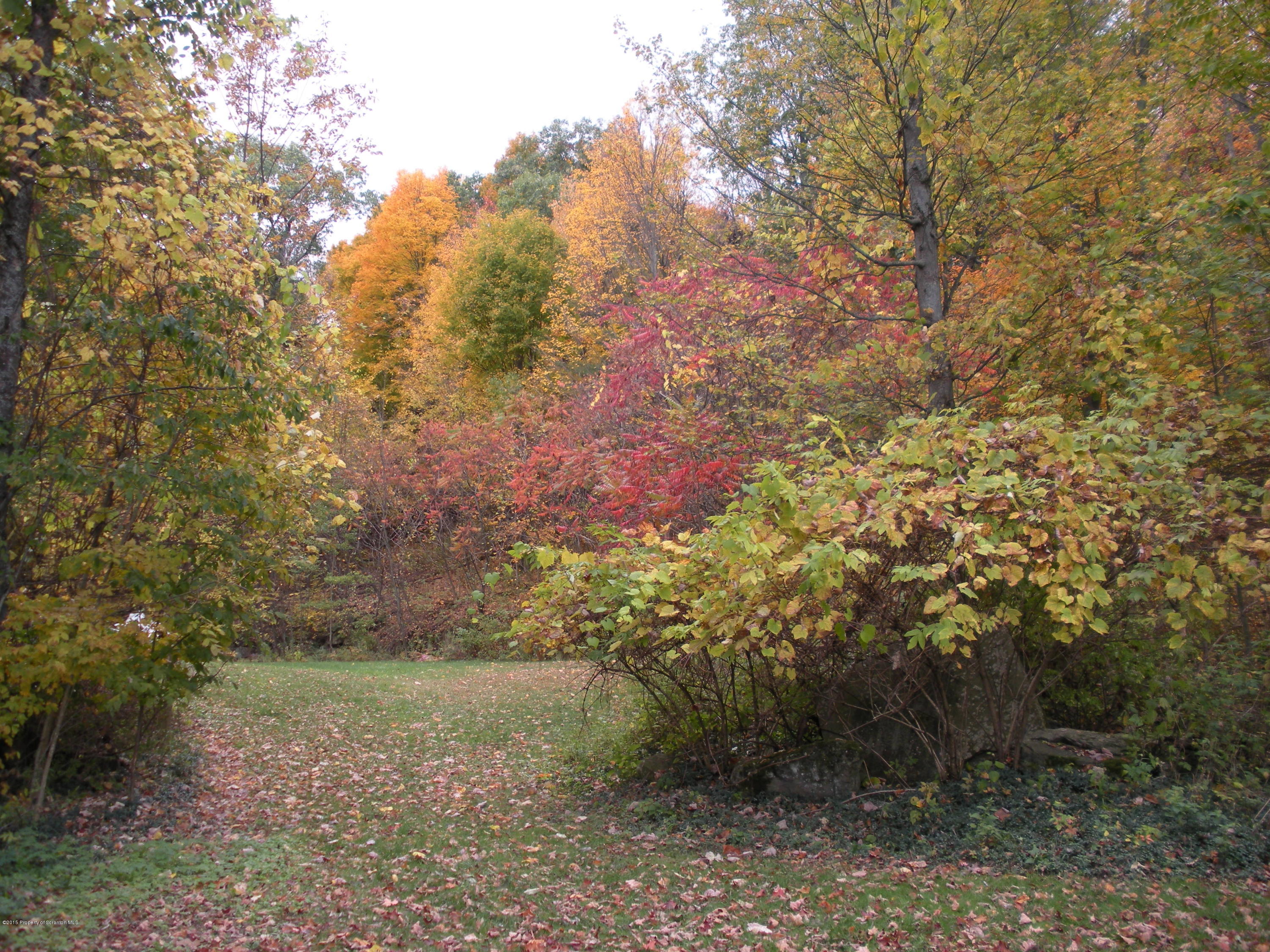 1555 Summit Lake Road Clarks Summit, PA 18411 - Photo 35 of 39 Gallery Image 35