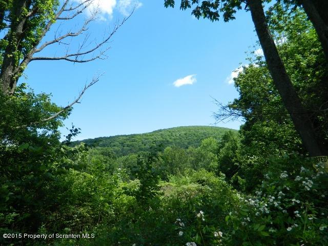 1555 Summit Lake Road Clarks Summit, PA 18411 - Photo 7 of 39 Gallery Image 7