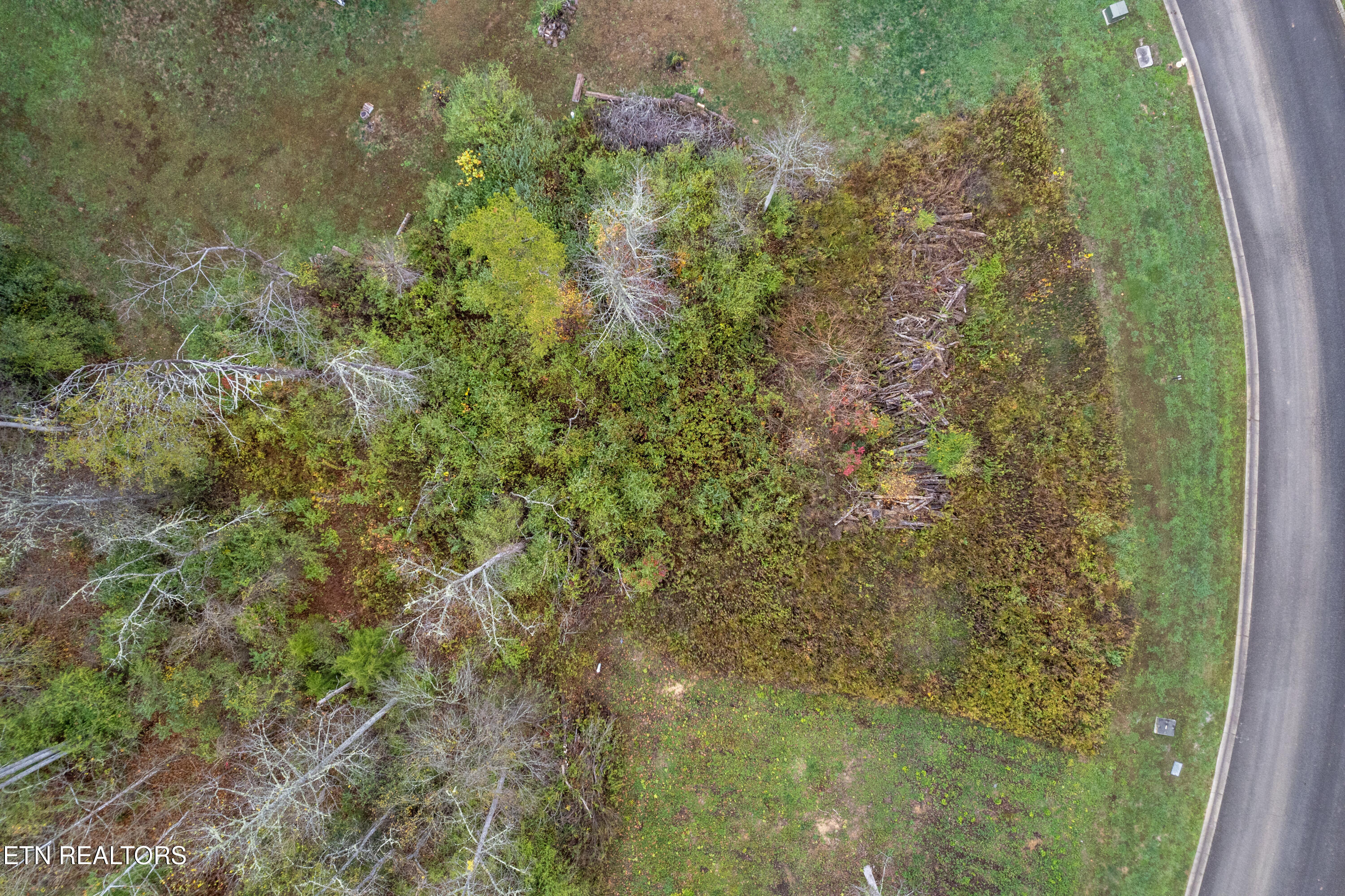 Undisclosed Address Oak Ridge, TN 37830 - Photo 6 of 10 Forest Creek Way 003