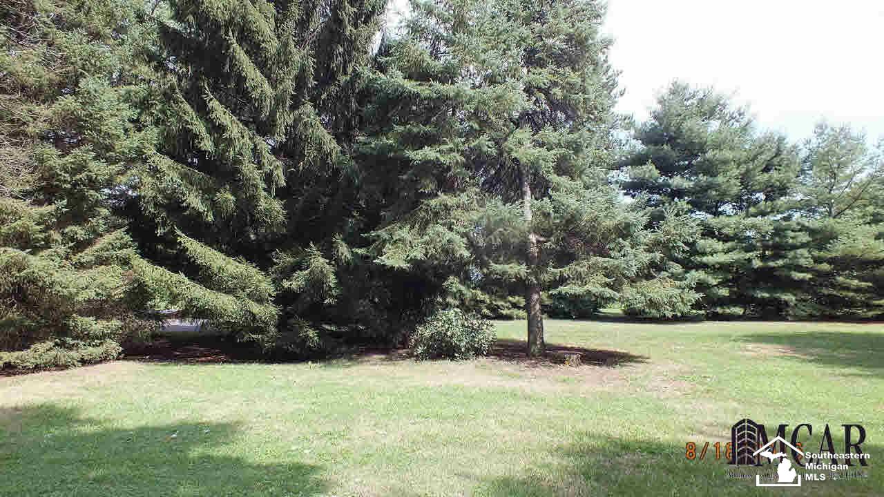 10137 Telegraph Road Erie, MI 48133 - Photo 11 of 28