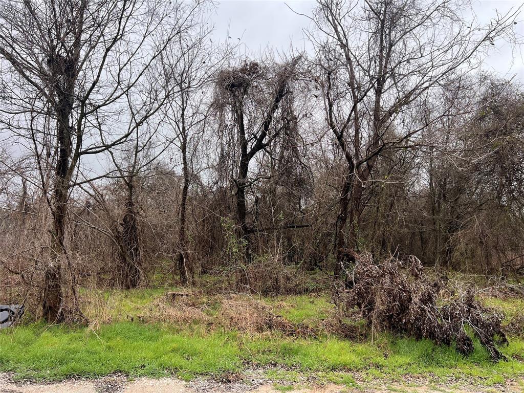 Tbd Limited Street Waco, TX 76705 - Photo 2 of 3 a view of backyard with green space