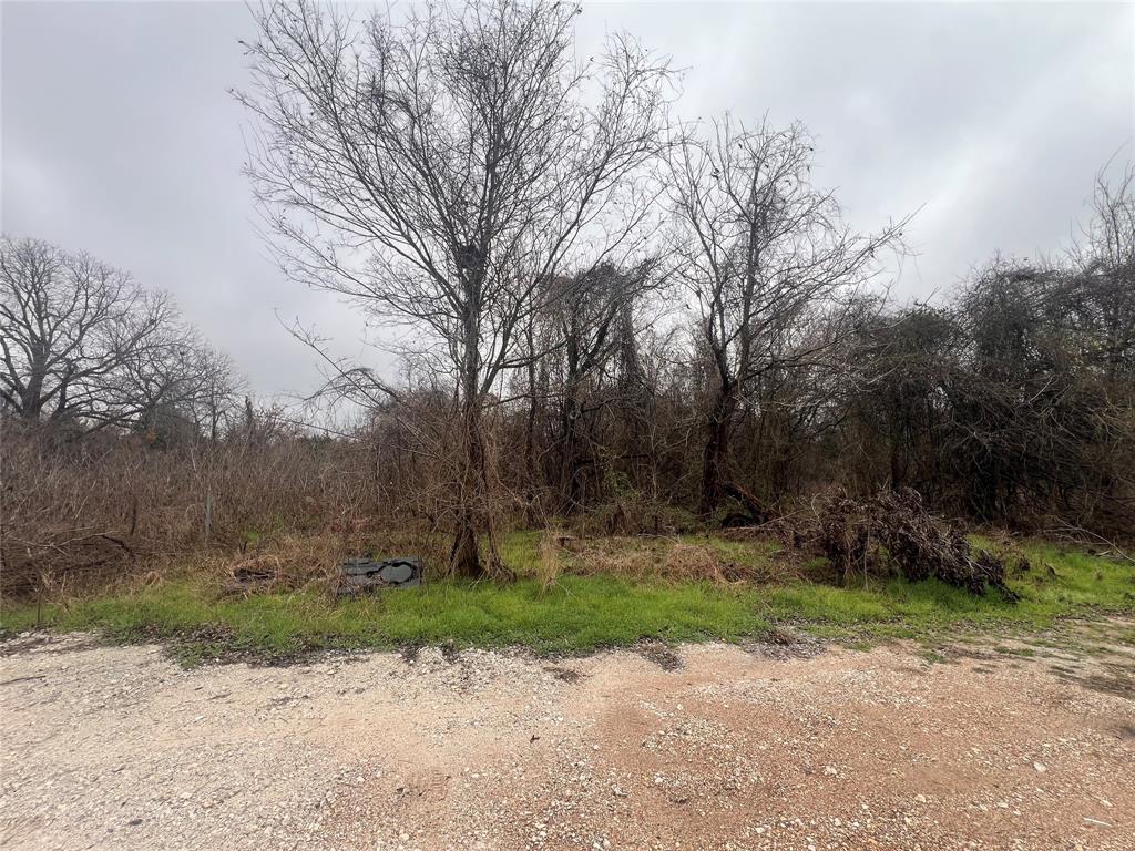 Tbd Limited Street Waco, TX 76705 - Photo 3 of 3 a backyard of a house with lots of green space