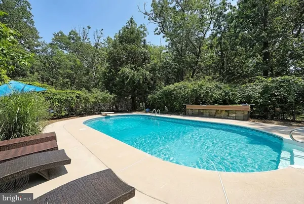 a view of a back yard