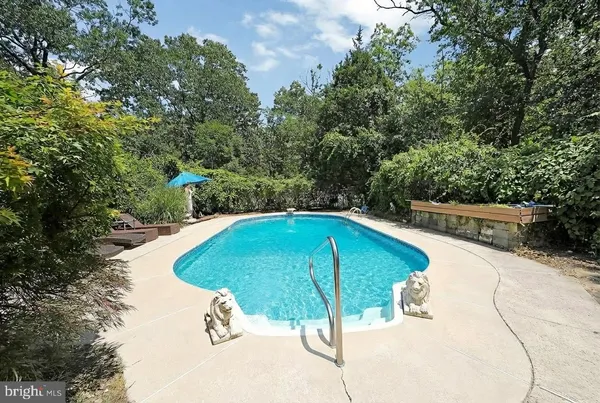 a view of a swimming pool with a patio and plants