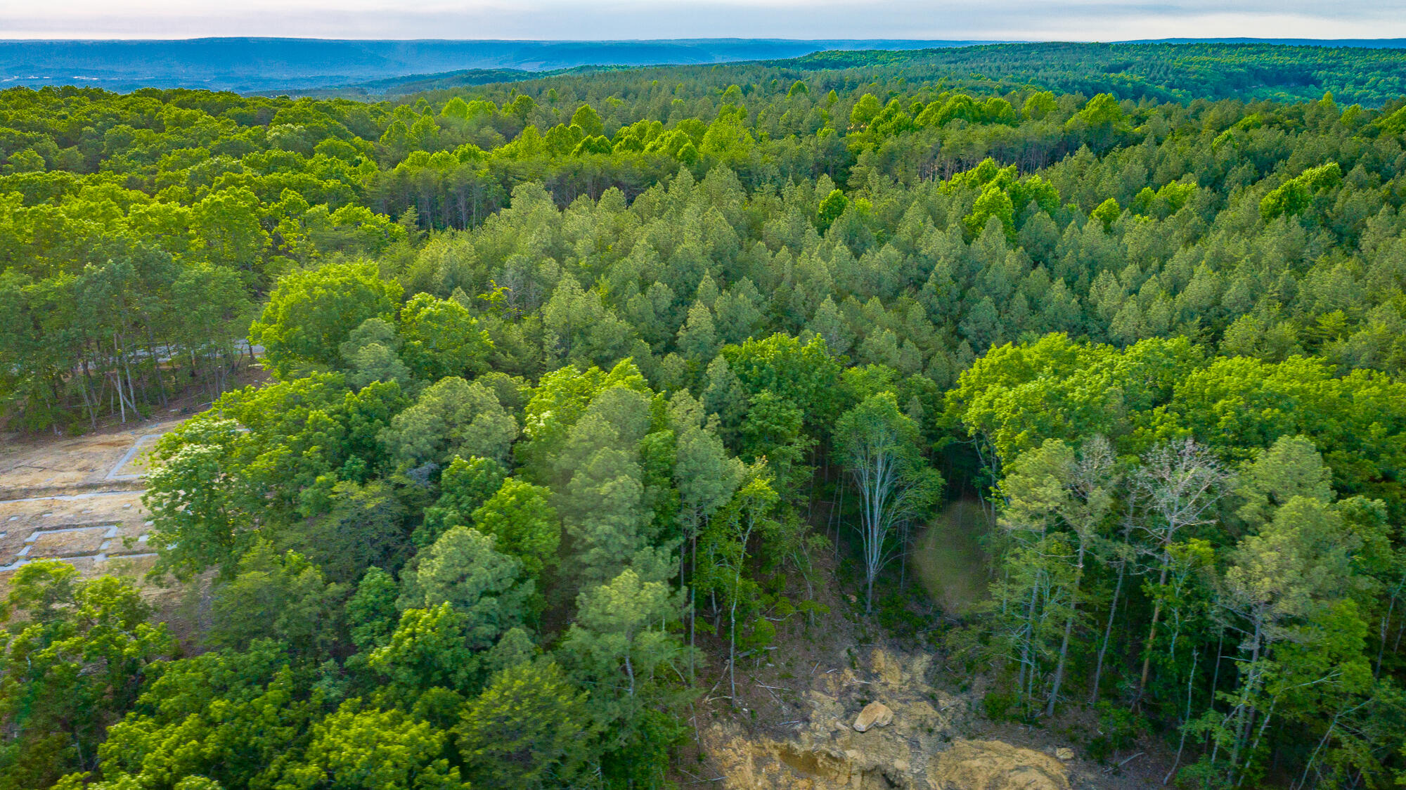 0 Cannon Way, Unit LOT 1317 Guild, TN 37340 - Photo 30 of 99 0 Cannon Way - Lot 1317 HD-14