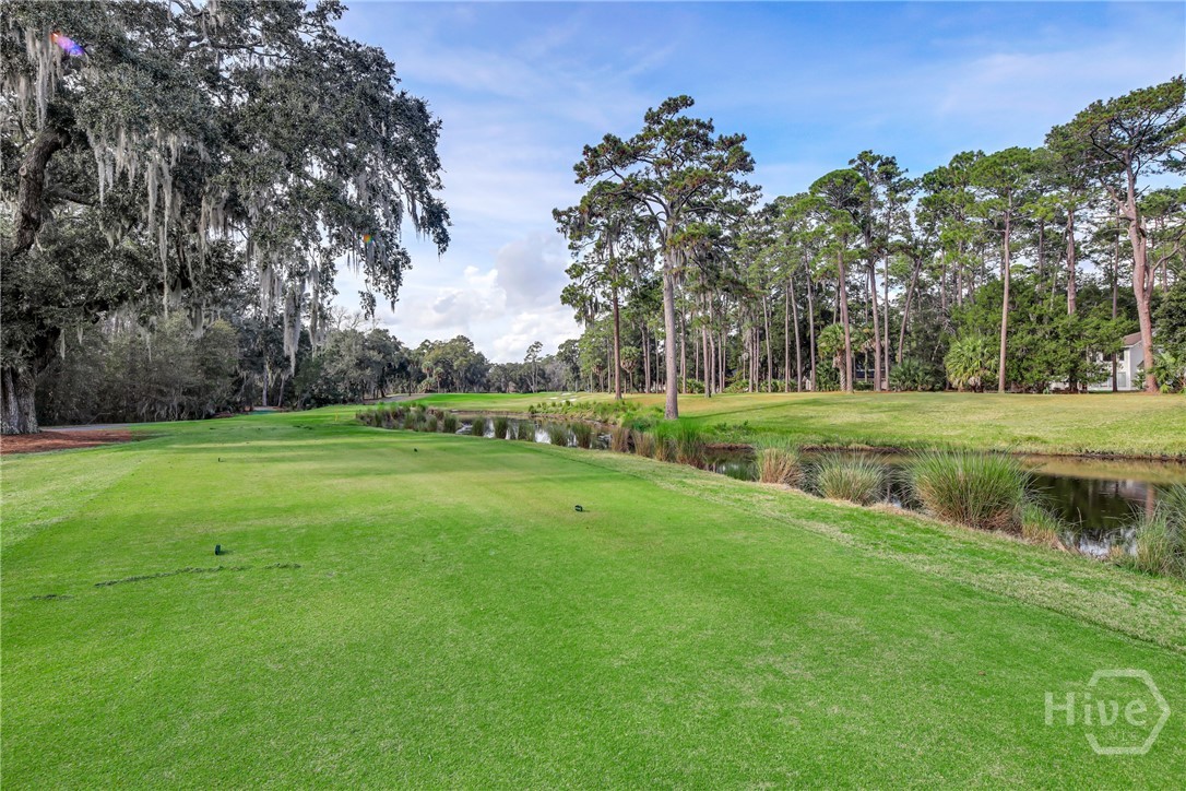 29 Monastery Road Savannah, GA 31411 - Photo 32 of 45