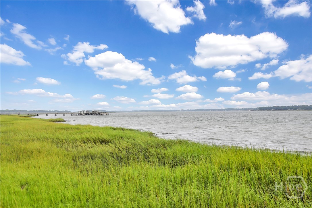 29 Monastery Road Savannah, GA 31411 - Photo 41 of 45