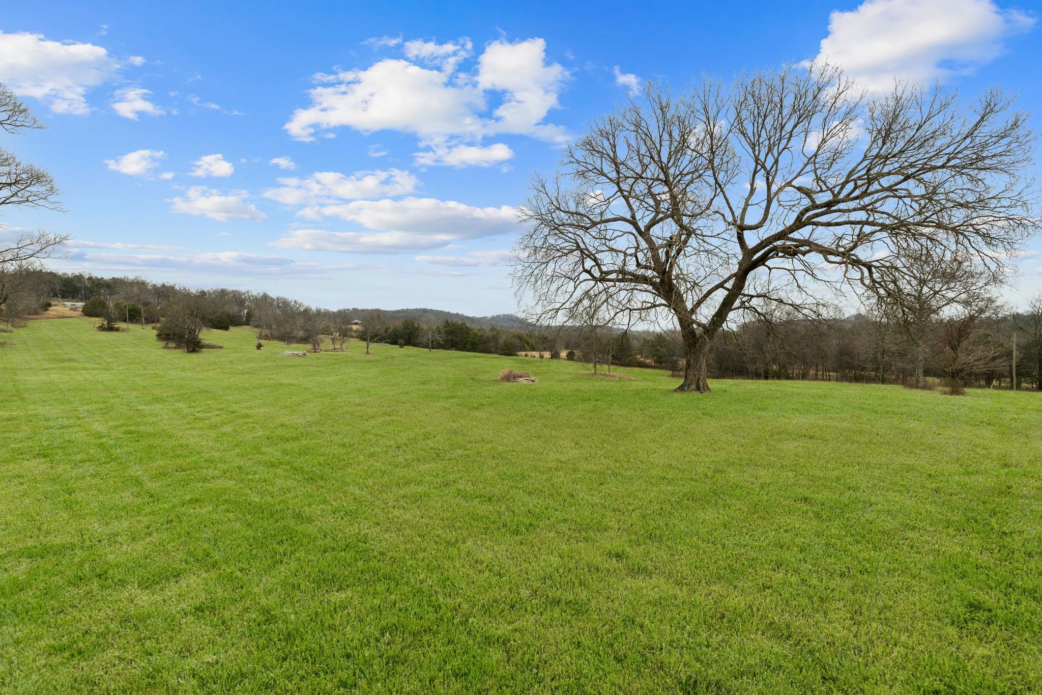 12877 Versailles Road Rockvale, TN 37153 - Photo 45 of 58 Gallery Image 45