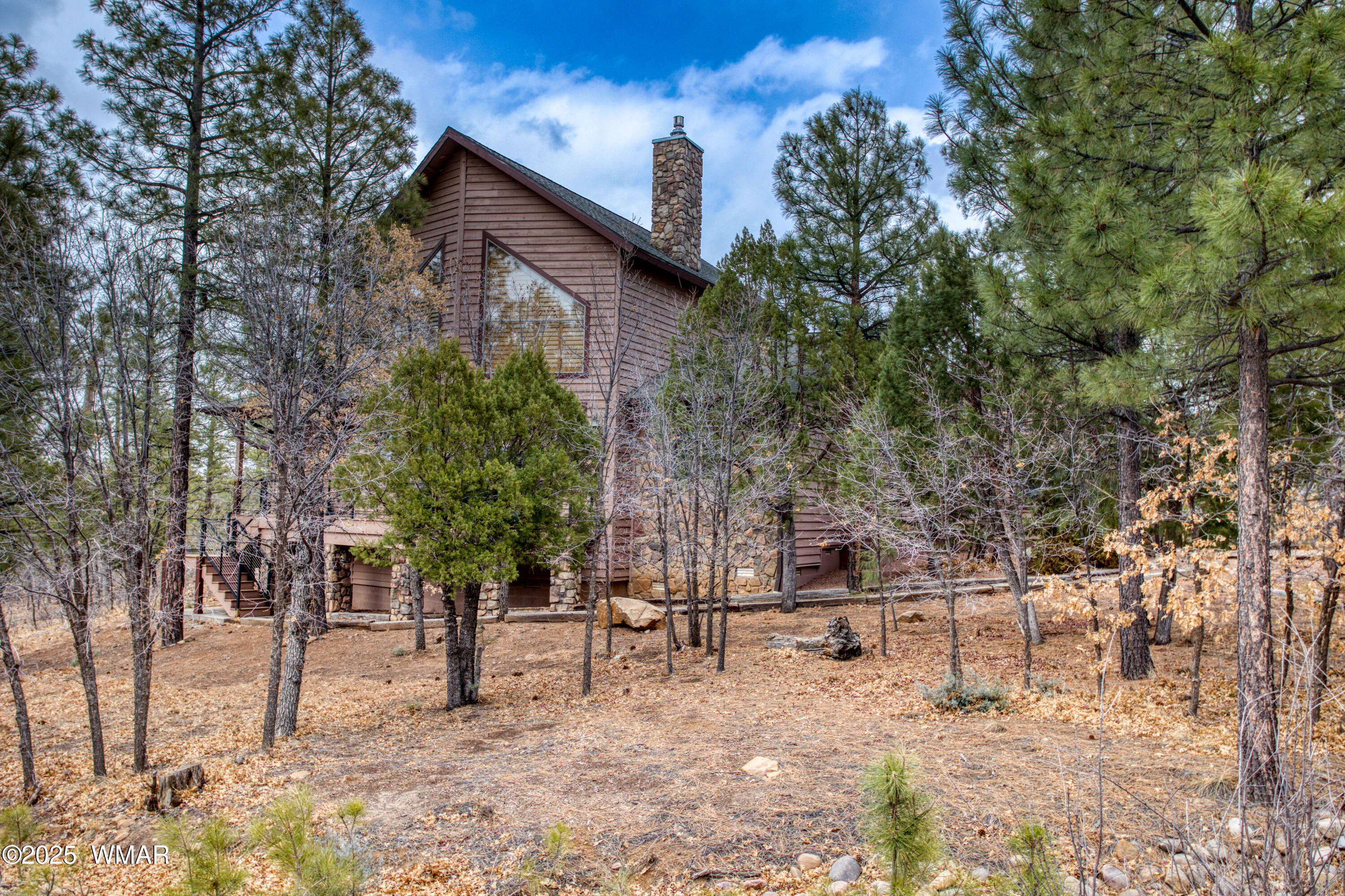 5981 Rim Road Lakeside, AZ 85929 - Photo 4 of 34 Paxmanphoto_PAX_9023