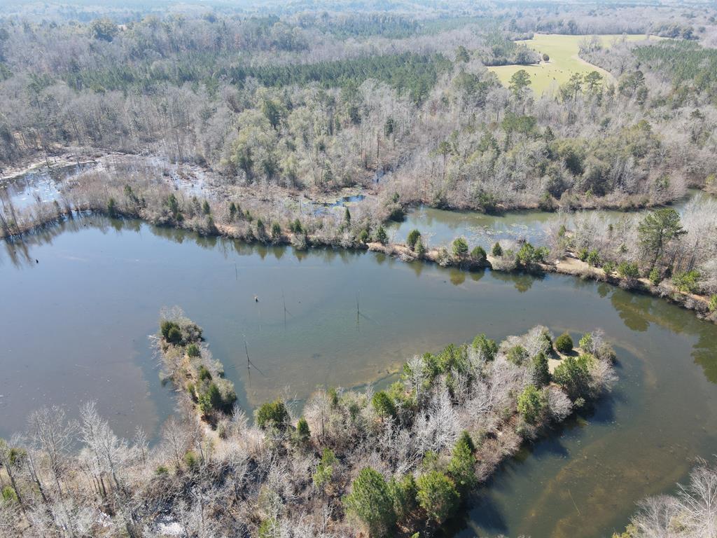 Undisclosed Address Ariton, AL 36311 - Photo 9 of 17