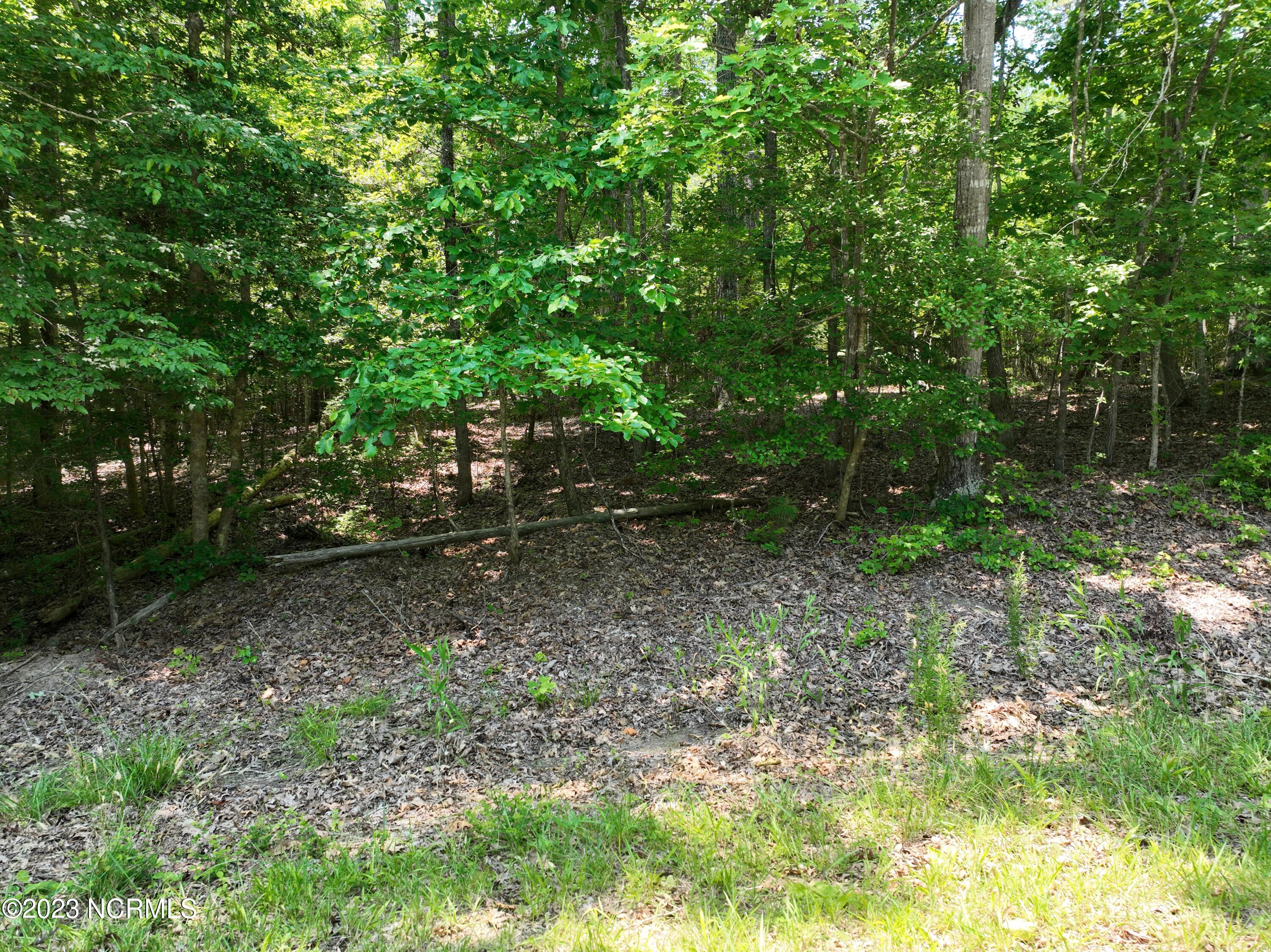 0 Pasture Gate Road Macon, NC 27551 - Photo 27 of 27 DJI_0353