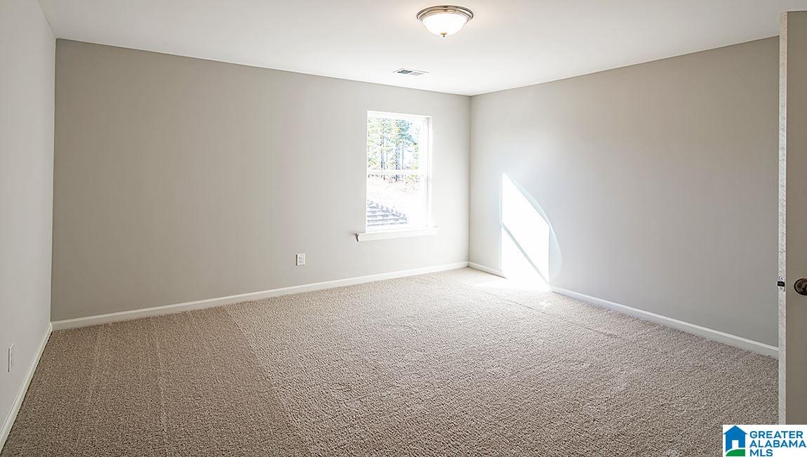 12817 Tannery Lane McCalla, AL 35111 - Photo 21 of 22