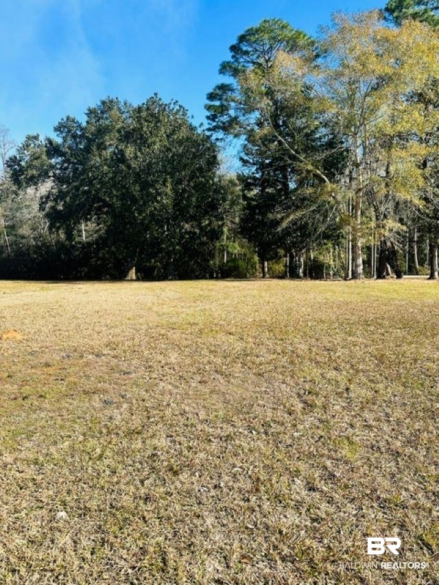 0 North Branson Drive Mobile, AL 36695 - Photo 5 of 20 View of yard