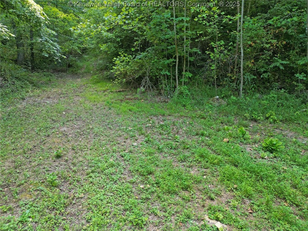 50 Island Branch Road Charleston, WV 25320 - Photo 12 of 14 Gallery Image 12