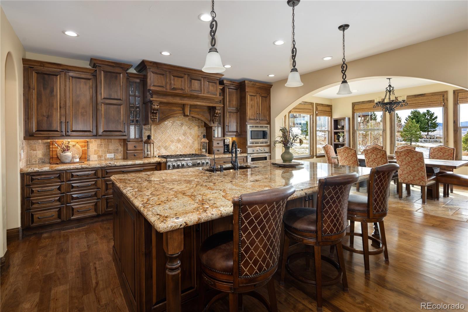 10859 Manor Stone Drive Highlands Ranch, CO 80126 - Photo 13 of 50