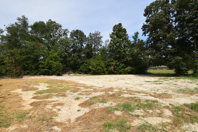 4236 Forest Road Hephzibah, GA 30815 - Photo 29 of 29 Spacious back yard.