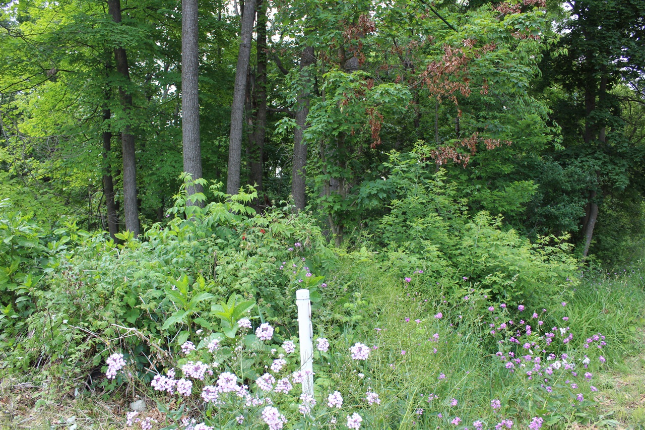 357 East North Street Portland, MI 48875 - Photo 16 of 32
