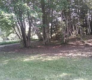 1780 Hamlin Road Van Buren, ME 04785 - Photo 52 of 61 Screen Shot 2020-08-09 at 8.33.48 PM