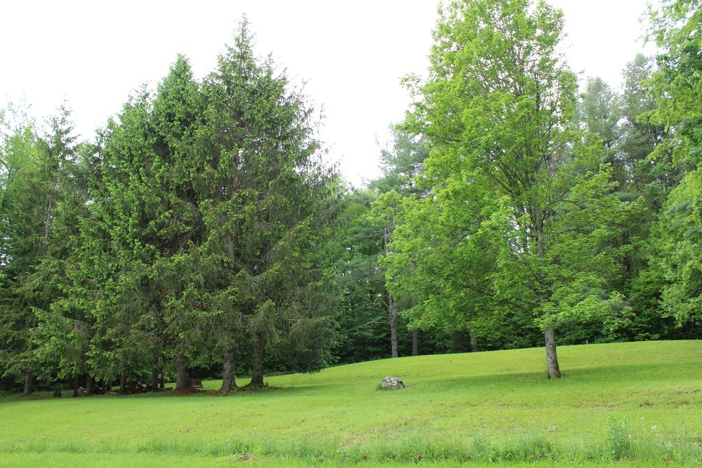 177 Number 9 Road Heath, MA 01367 - Photo 4 of 26 a view of an outdoor space