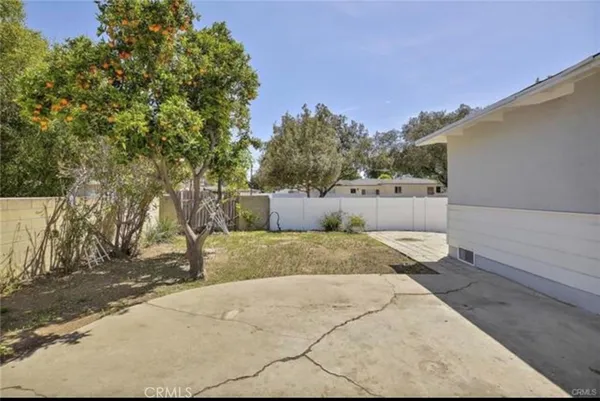 a view of backyard and tree