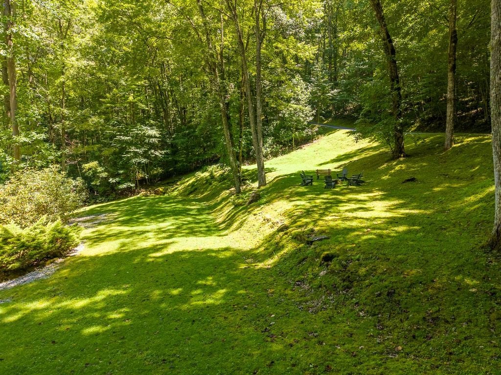 752 Shepherds Gap Road Cullowhee, NC 28723 - Photo 16 of 17 Gallery Image 16