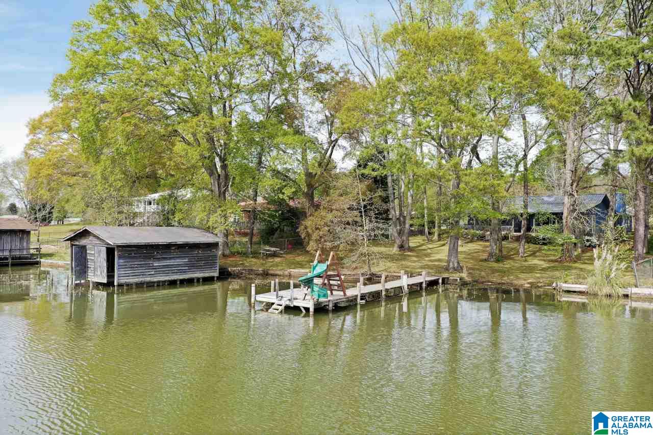 590 Cove Road Wilsonville, AL 35186 - Photo 1 of 37