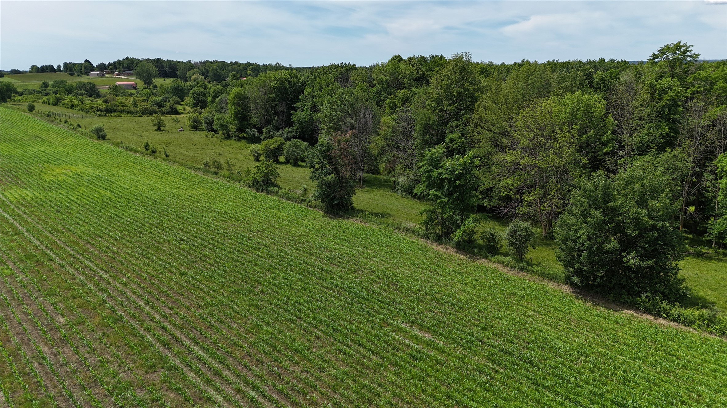 Tbd 230th Street Baldwin, WI 54002 - Photo 45 of 53