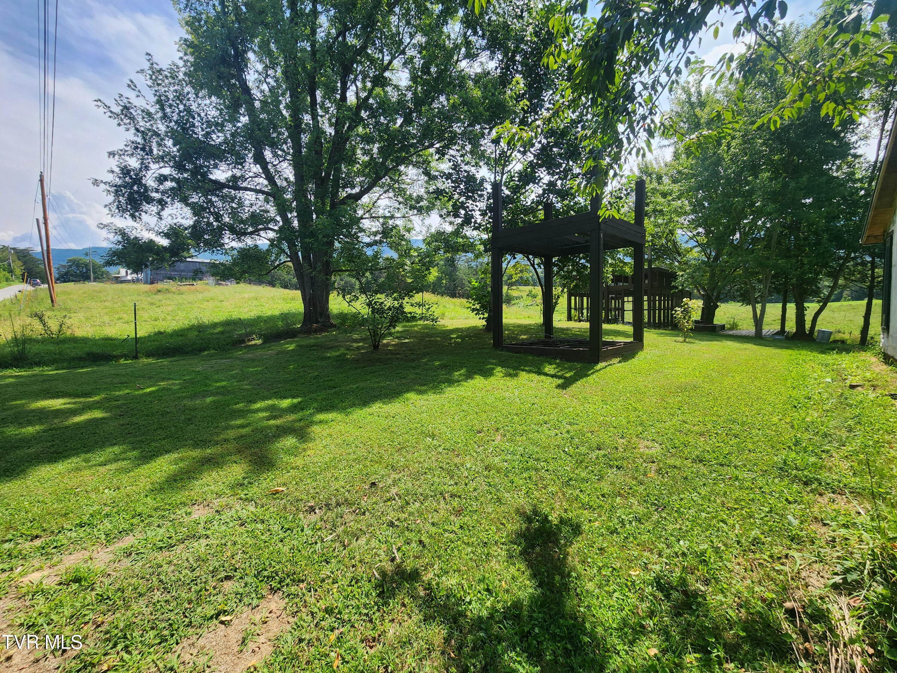 1710 Gosnell Susong Road Greeneville, TN 37743 - Photo 17 of 23 Side Yard