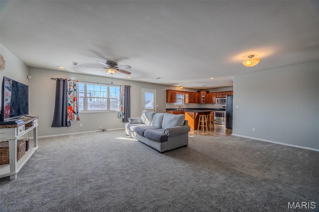 20517 Luna Road Waynesville, MO 65583 - Photo 4 of 31