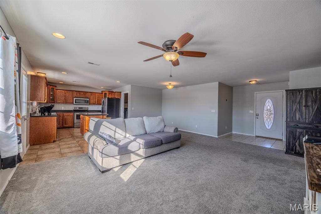 20517 Luna Road Waynesville, MO 65583 - Photo 5 of 31