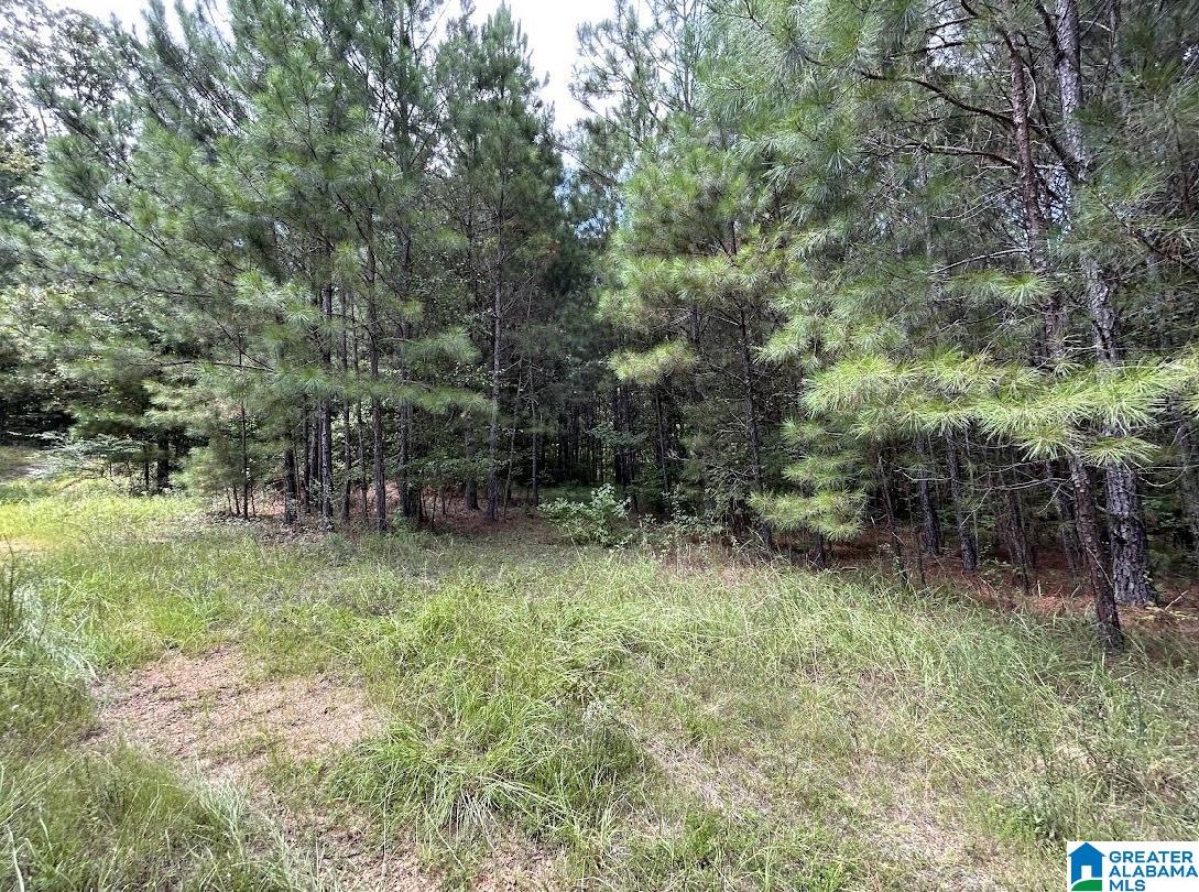 125 A Thatcher Road, Unit 7A1 7A5 Vincent, AL 35178 - Photo 12 of 15 Gallery Image 12