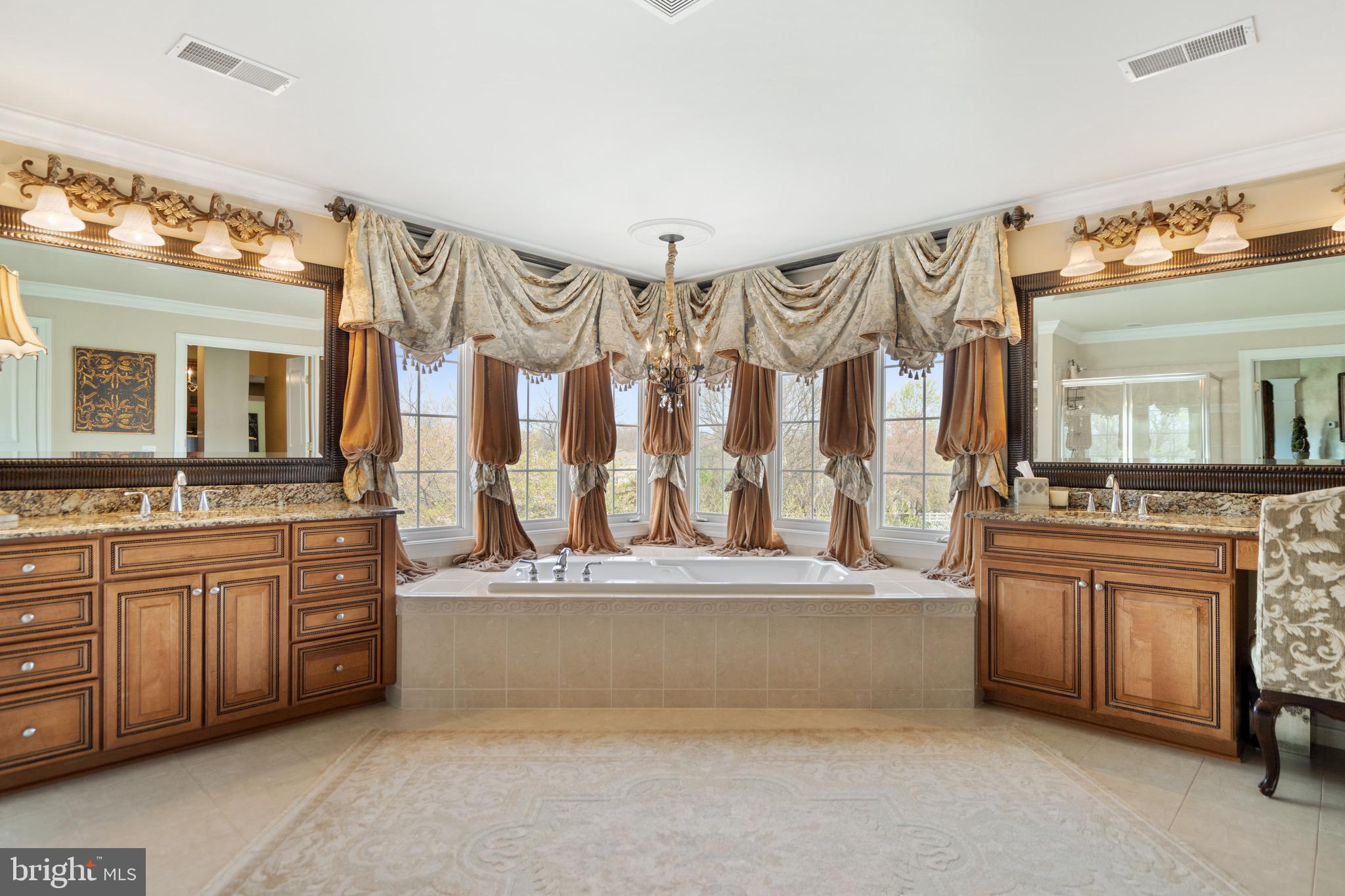 21103 Mill Branch Drive Leesburg, VA 20175 - Photo 46 of 107 Primary Bath