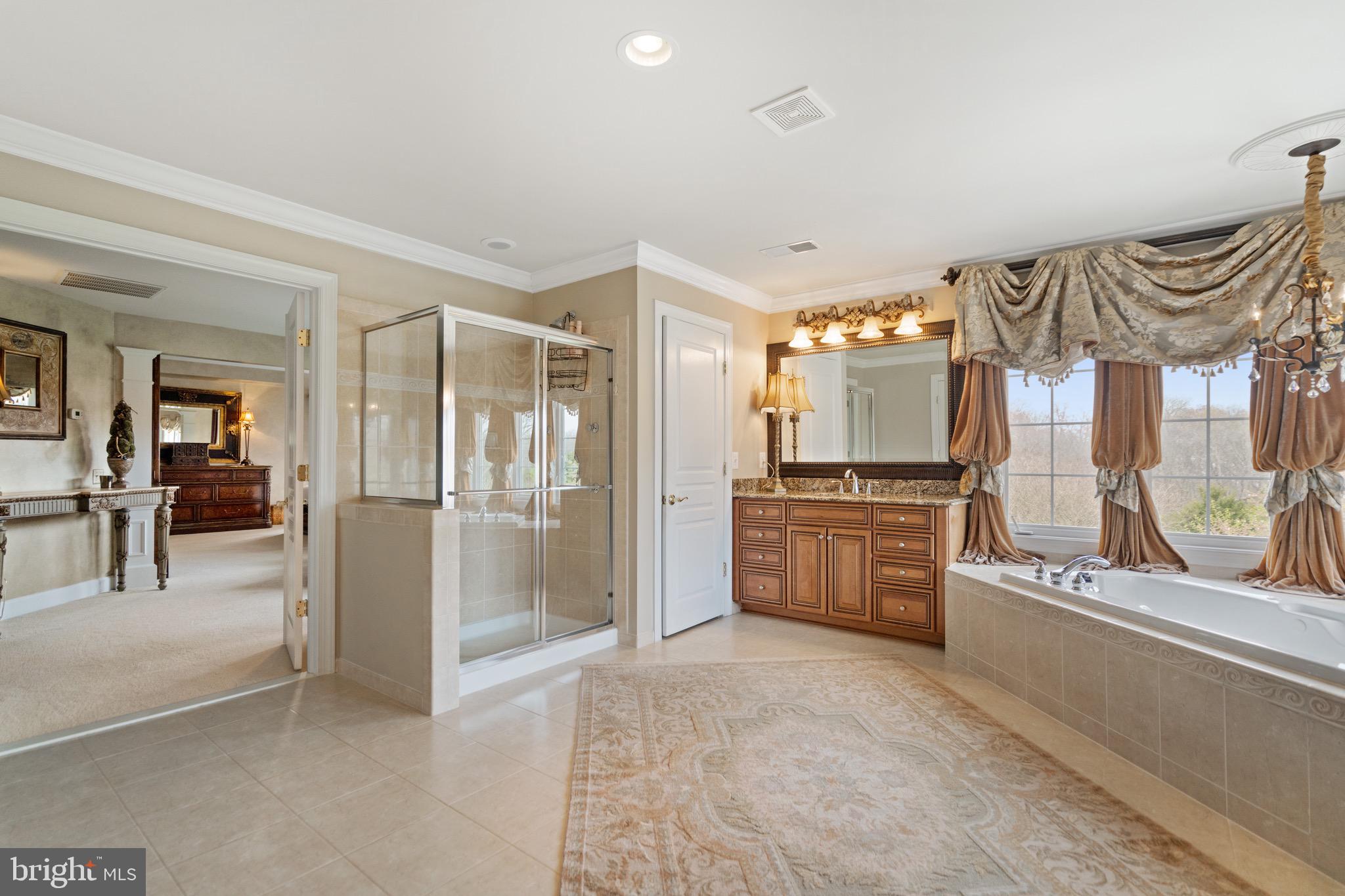 21103 Mill Branch Drive Leesburg, VA 20175 - Photo 47 of 107 Primary Bath