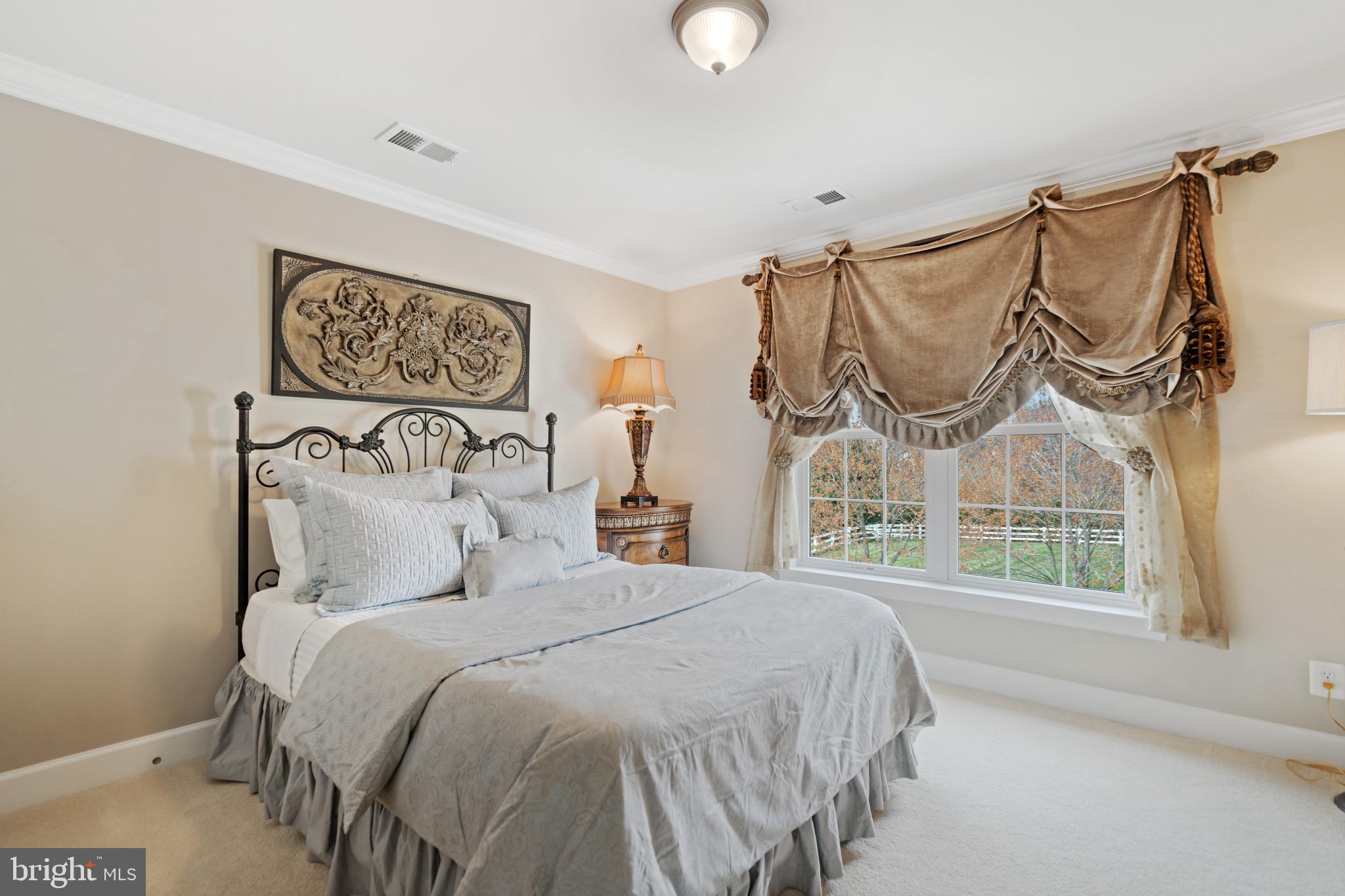 21103 Mill Branch Drive Leesburg, VA 20175 - Photo 57 of 107 Bedroom 4 with en suite bath