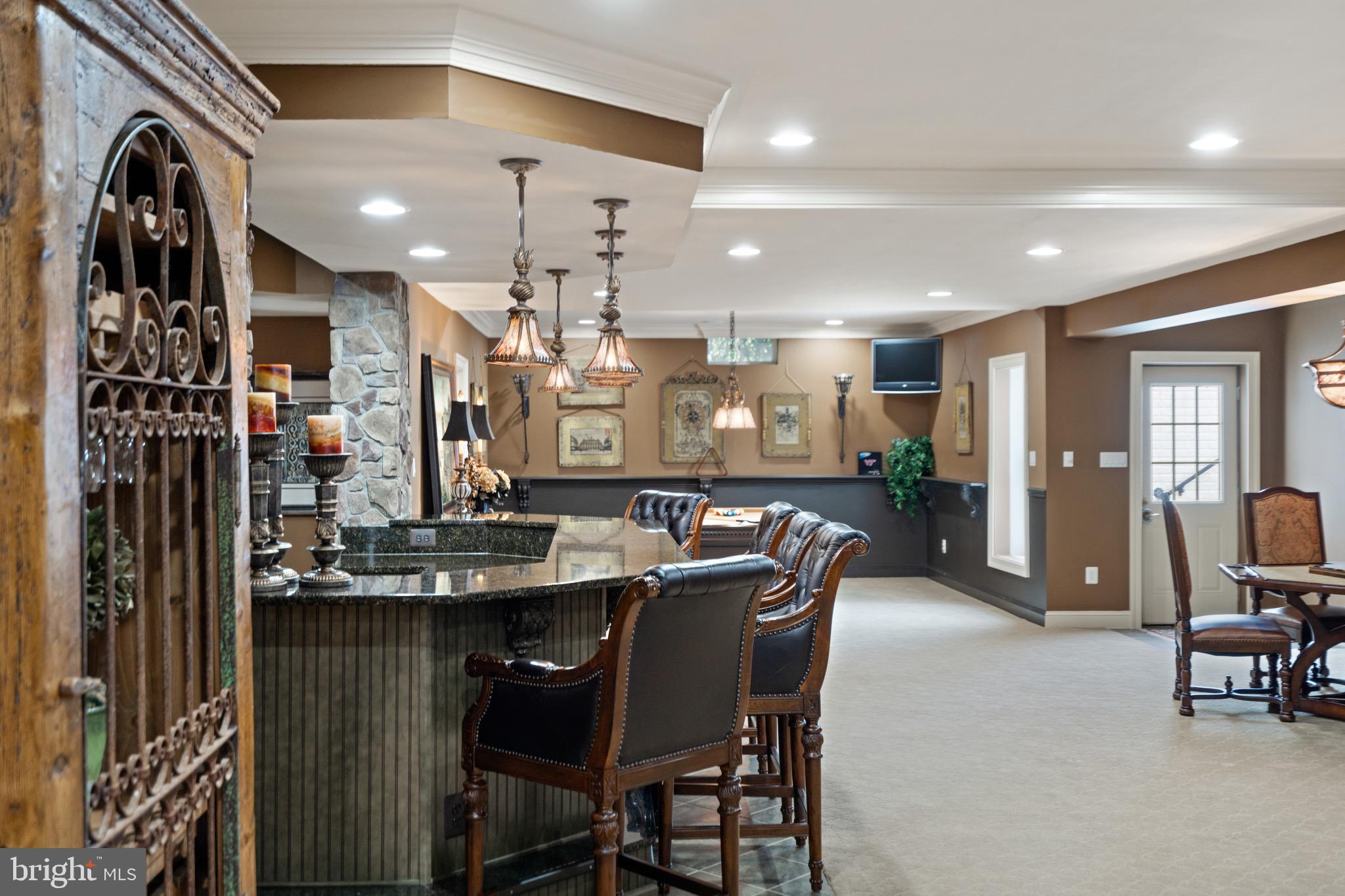 21103 Mill Branch Drive Leesburg, VA 20175 - Photo 59 of 107 Custom lower level with wetter